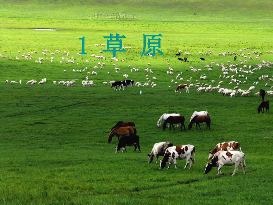 五年级人教版语文下册《草原》第二课时课件_第1页