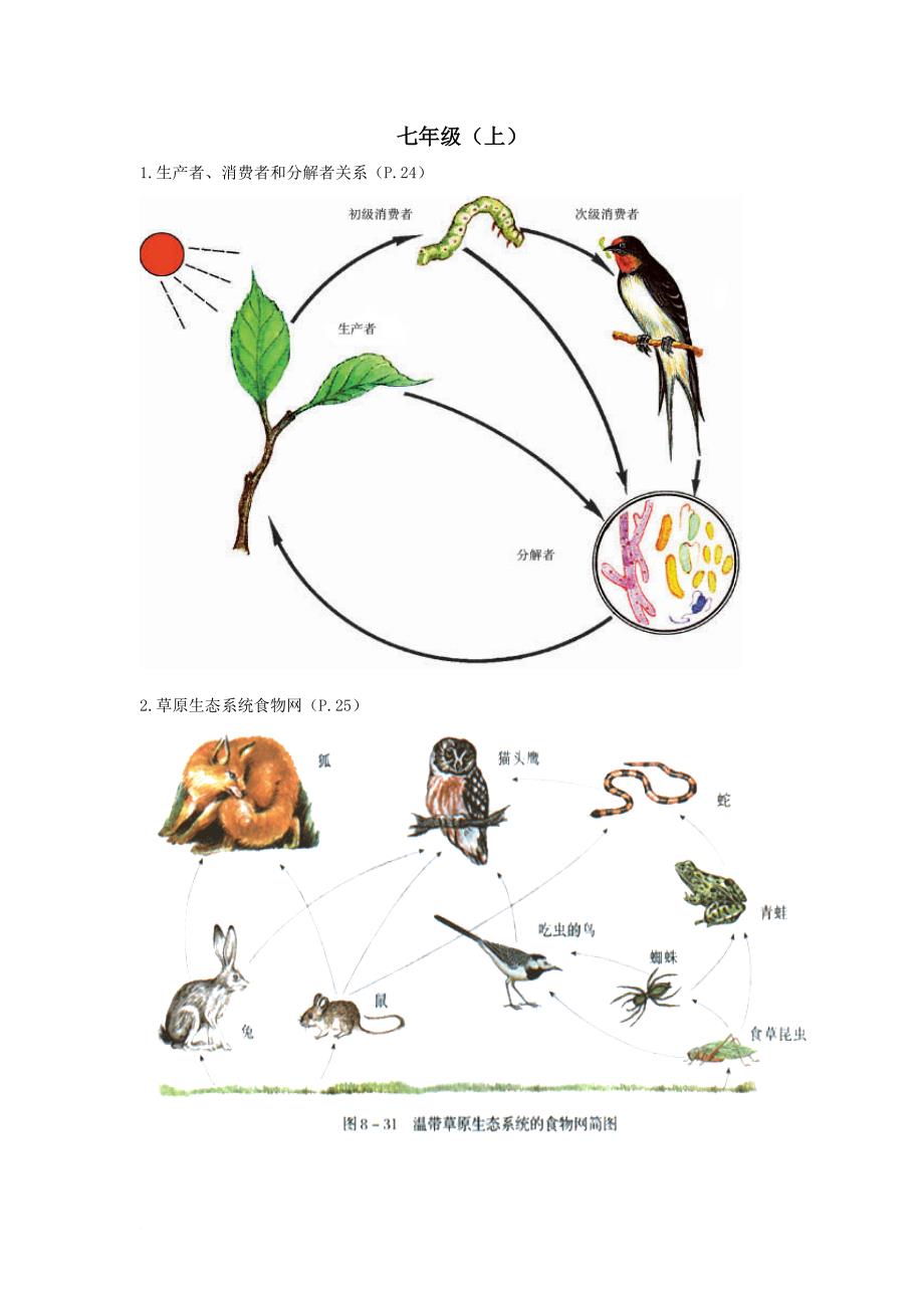 初中生物课本上的图_第1页
