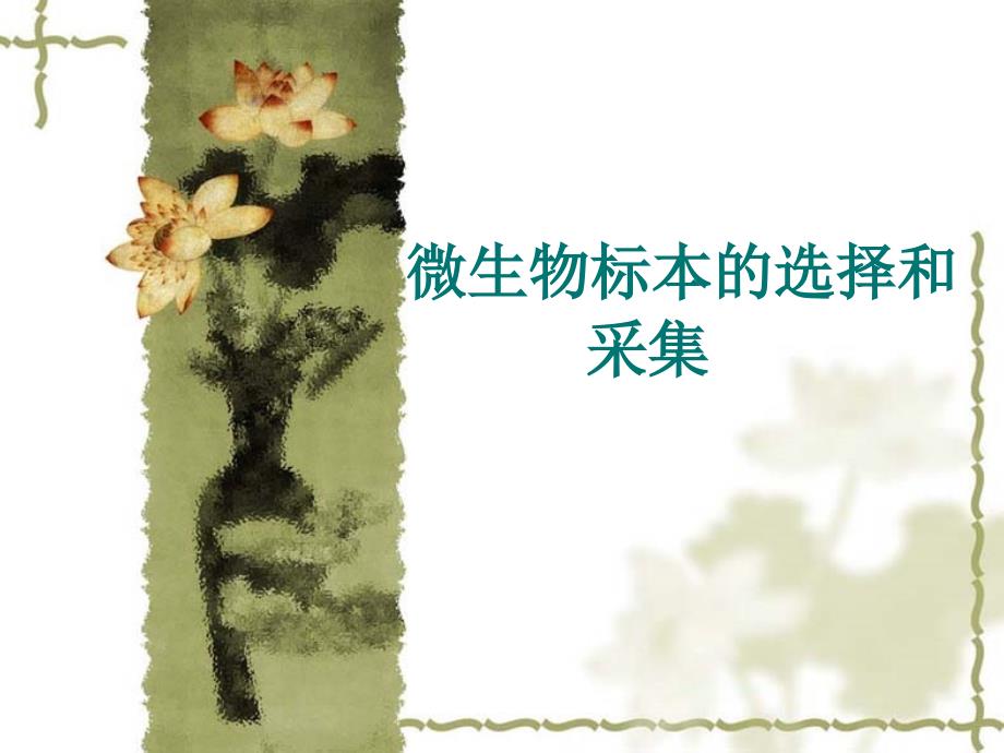 标本的选择和采集_第1页