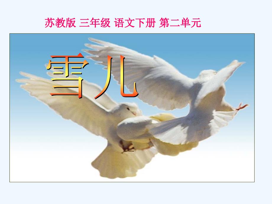 （精品教育）《雪儿》课件_第1页
