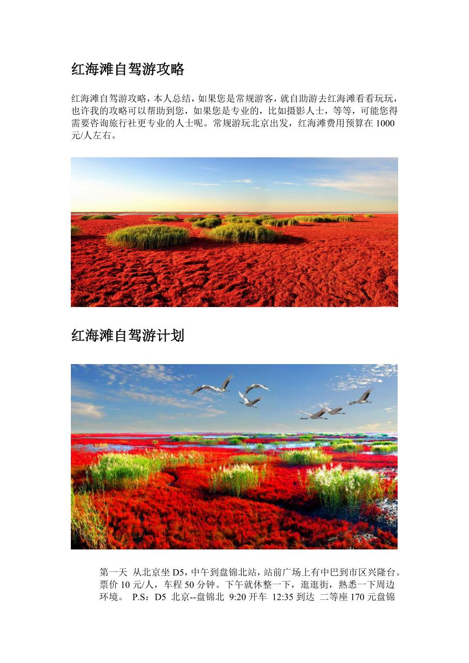 红海滩自驾游攻略_第1页