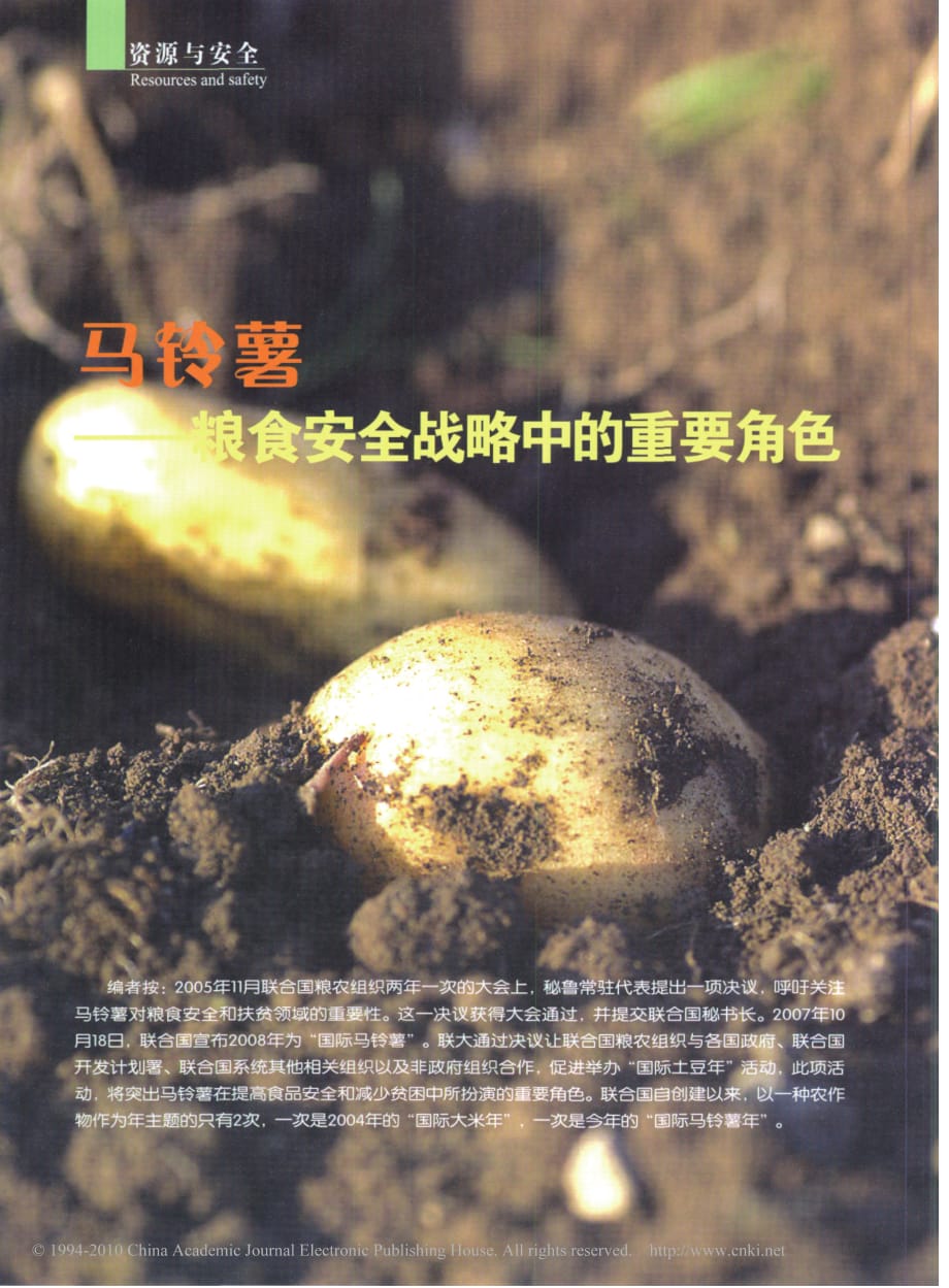 马铃薯粮食安全战略中的重要角色_第1页