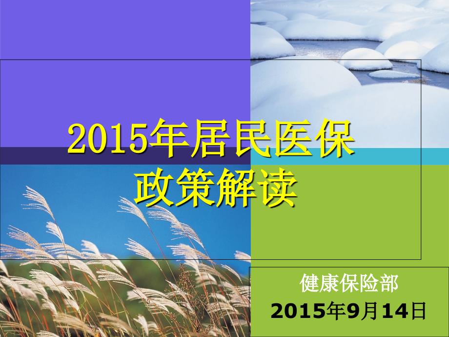 2015年居民基本医保政策_第1页