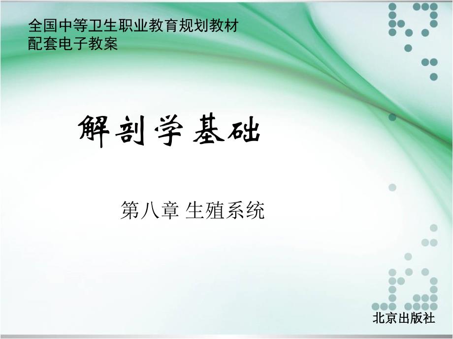 第八章-生殖系统-解剖学基础中职课件_第1页