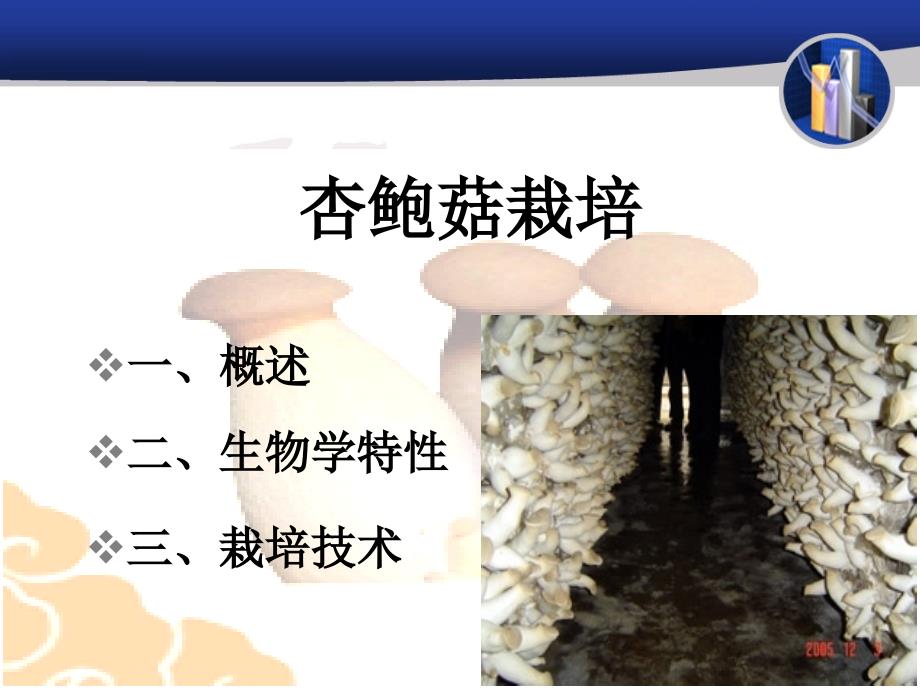 食用菌栽培04_杏鲍菇_第1页