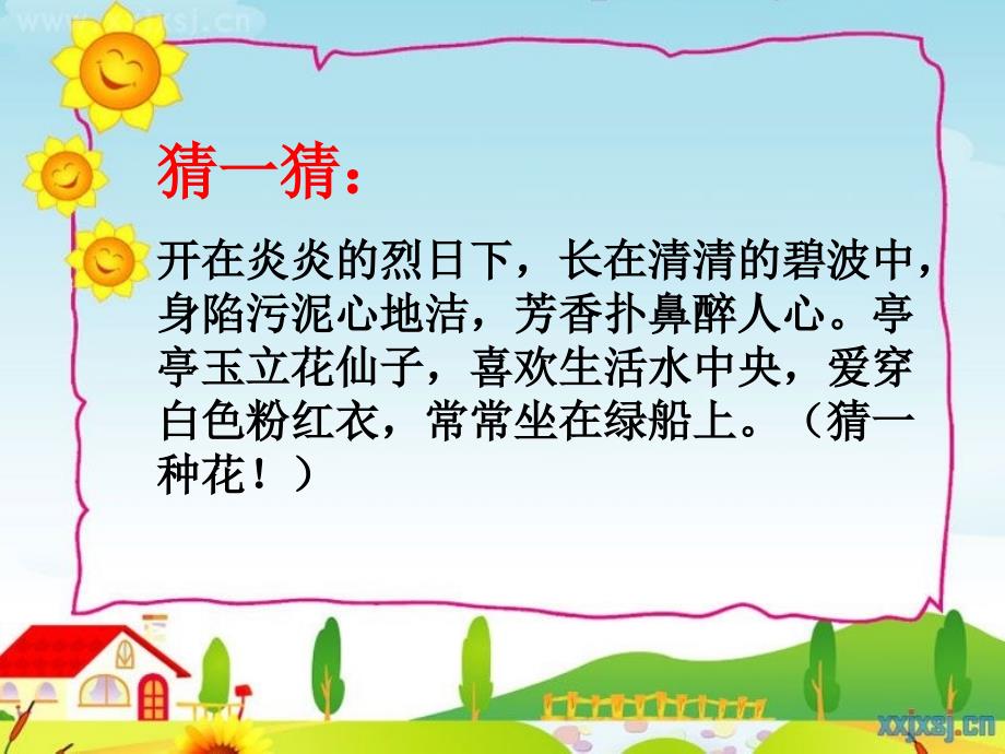 人教版三年级上册3.荷花._第1页