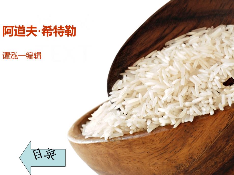 希特勒简介最新修订讲解_第1页