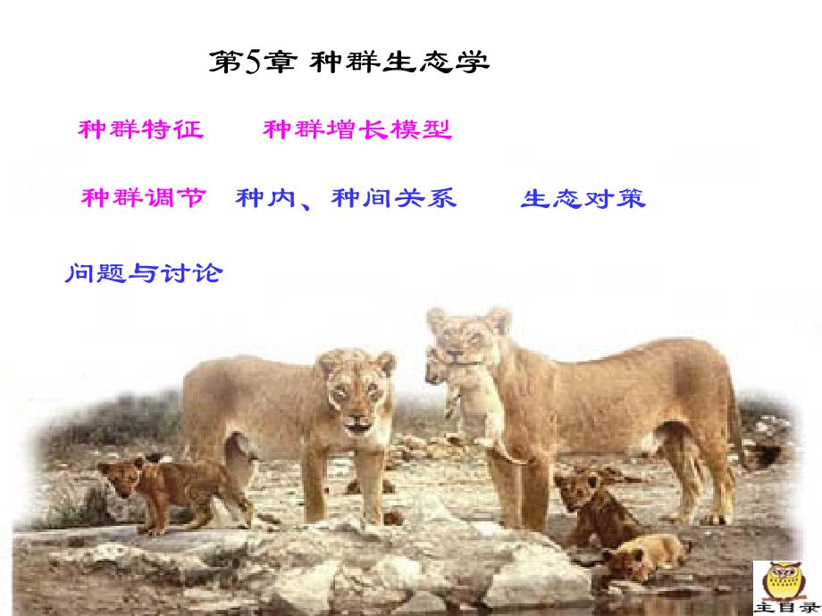 第5章 种群生态学2new_第1页