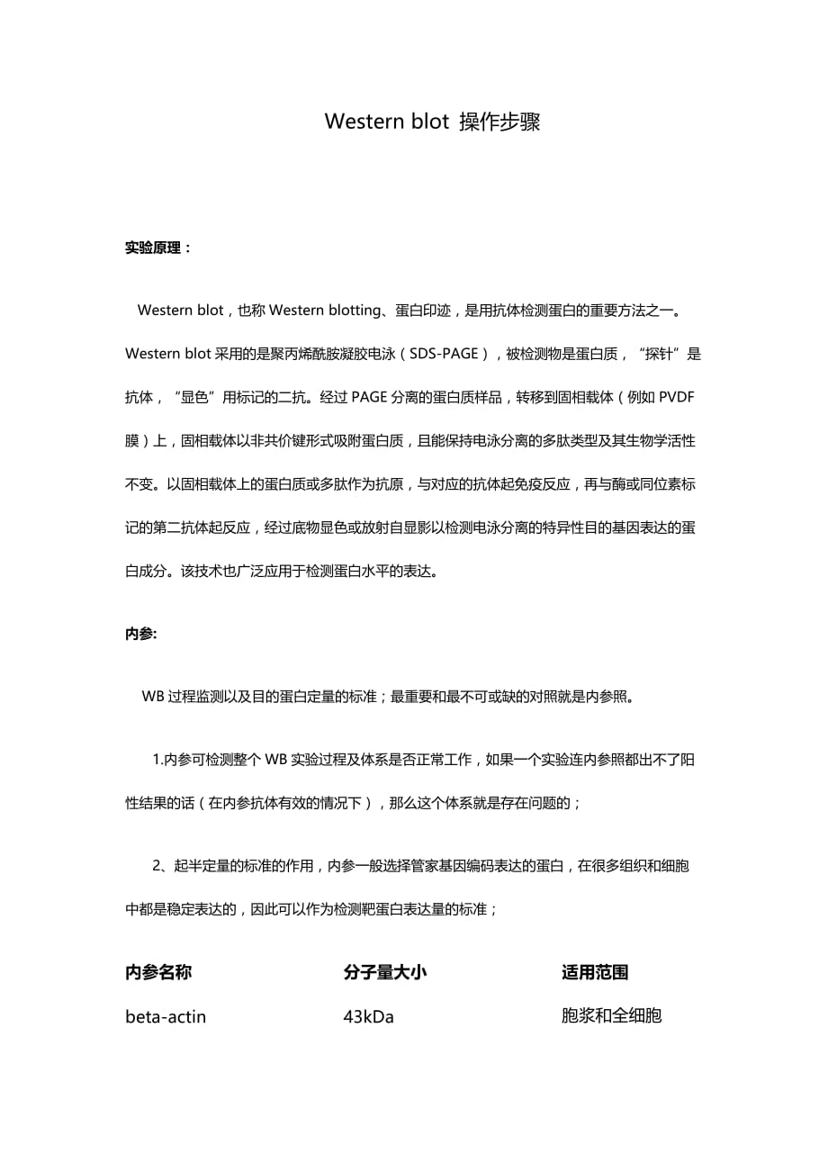 western blot 操作步骤_第1页