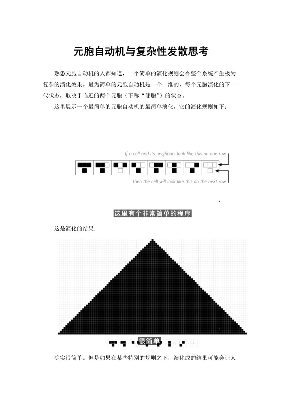 元胞自动机与复杂性发散思考._第1页