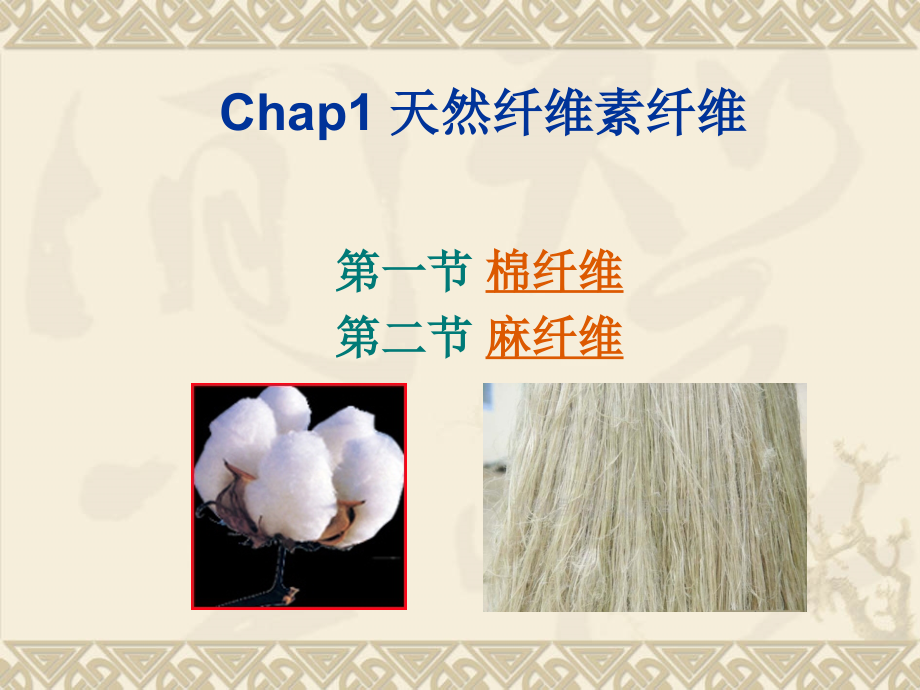 1-3章纤维(1)剖析_第1页