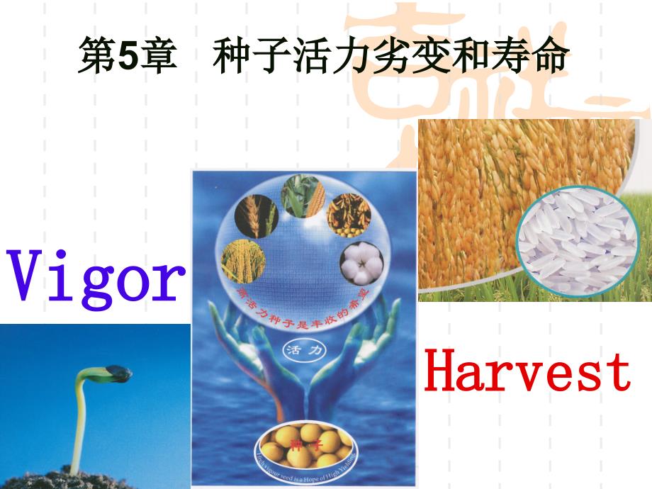 第5章-种子活力劣变和寿命_第1页