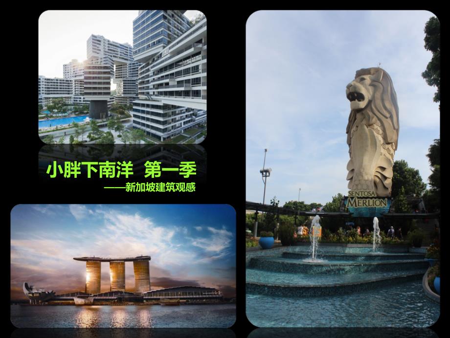 新加坡滨海湾金沙酒店+theinterlace_第1页