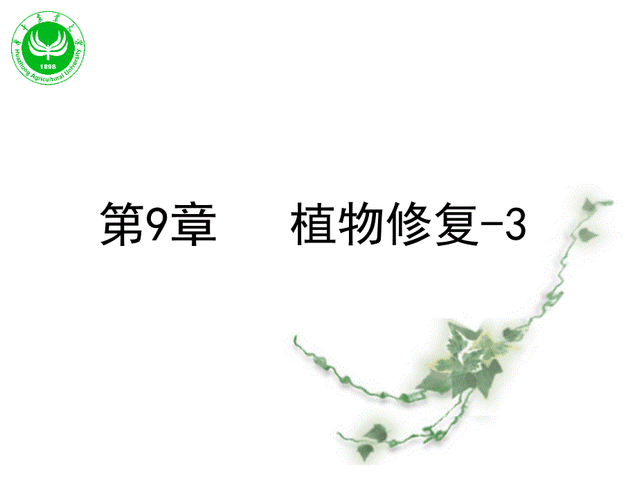 第9章 植物修复-3_第1页