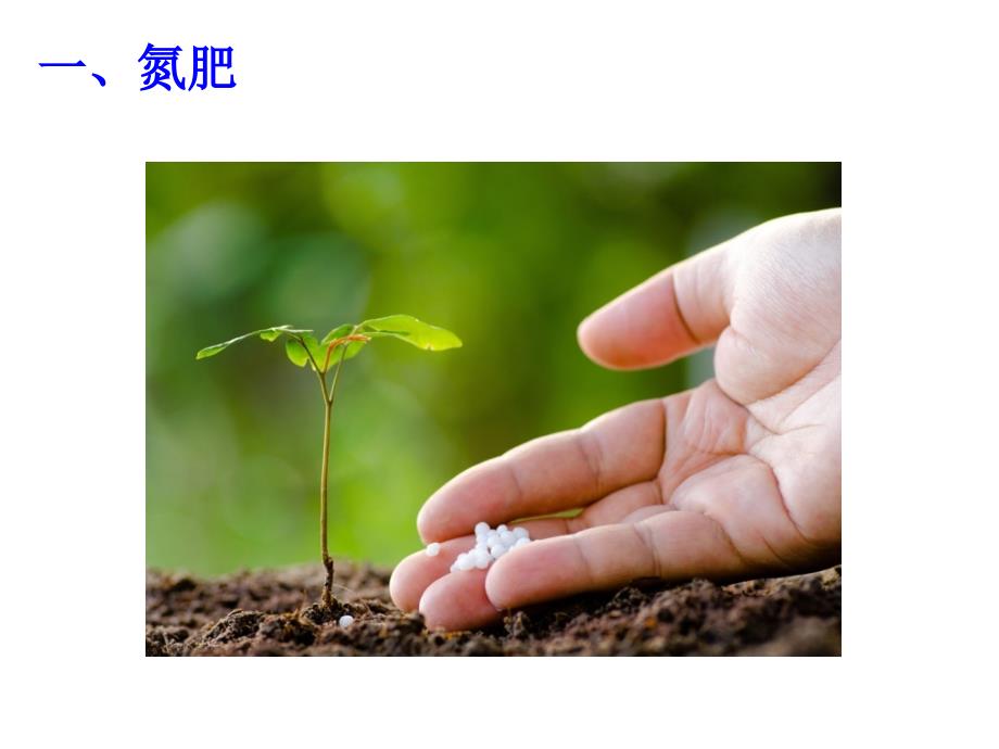 氮、磷、钾肥_第1页