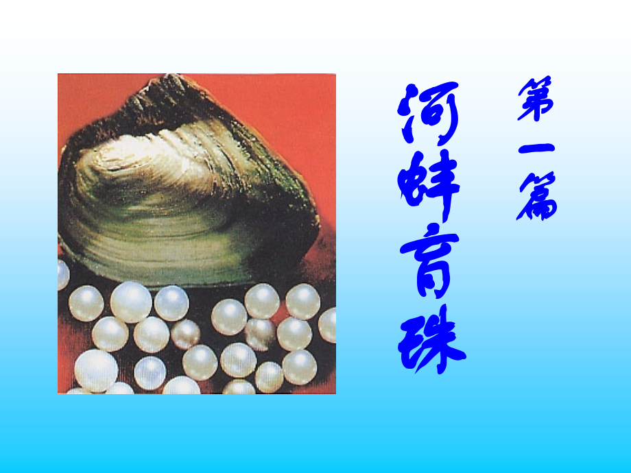 甲克类贝类增养殖学剖析._第1页