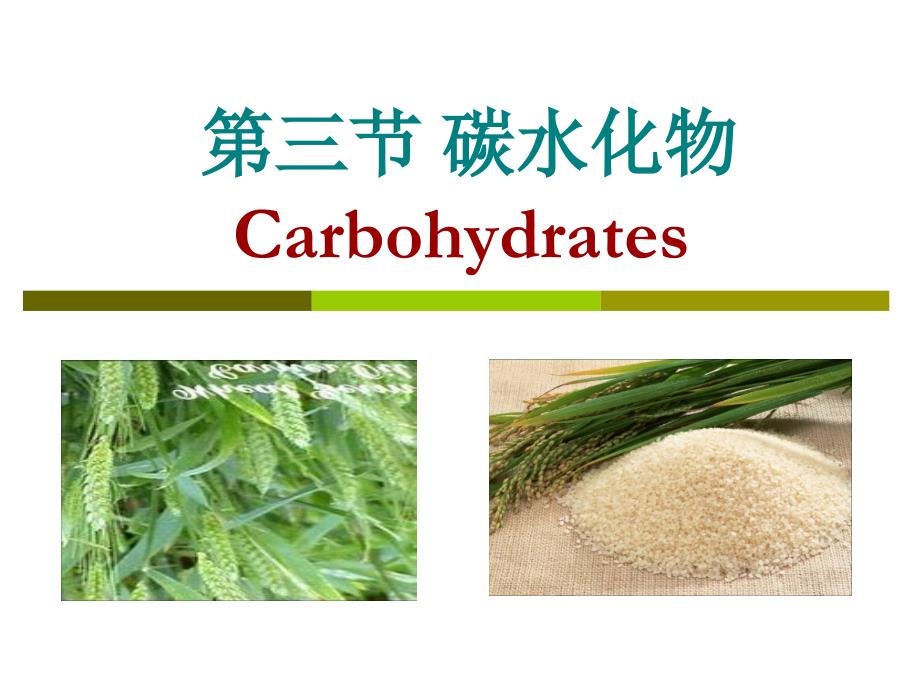 6碳水化合物(膳食纤维)剖析_第1页