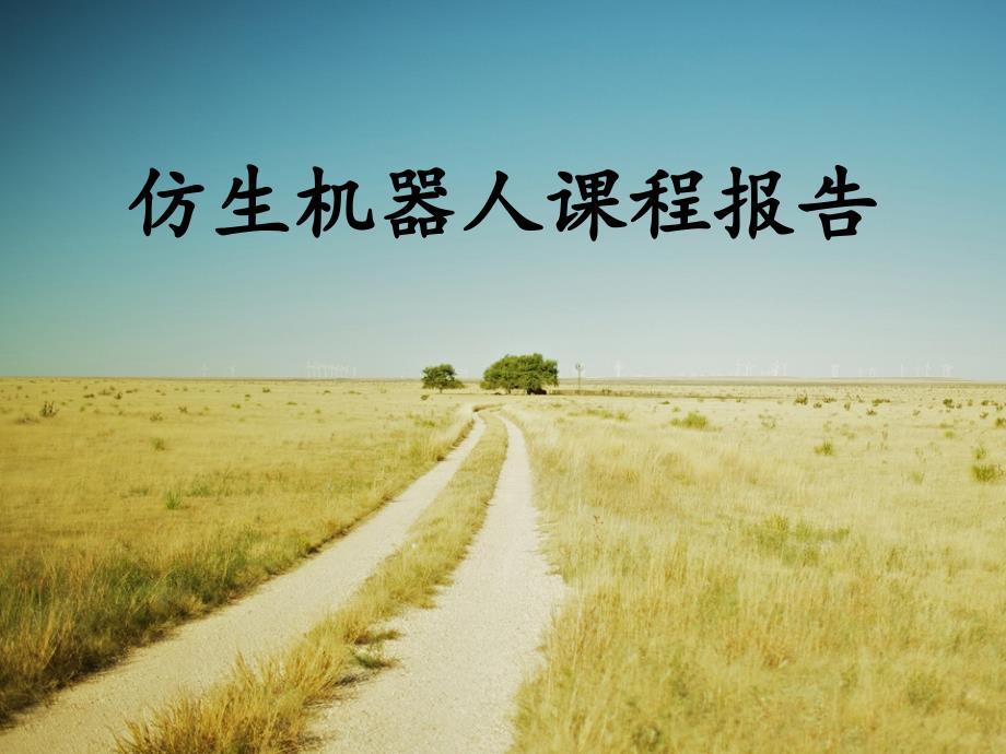 仿生扑翼机器人_第1页
