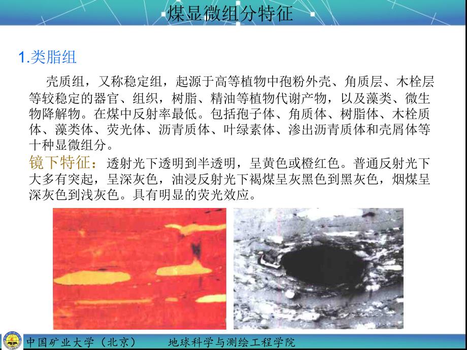 显微组分特征_第1页