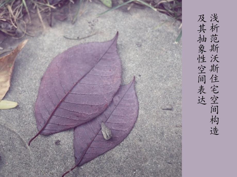 浅析范斯沃斯住宅_第1页