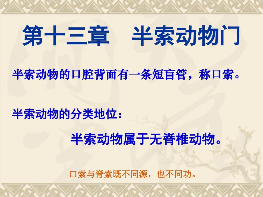 第14章脊索动物门_第1页