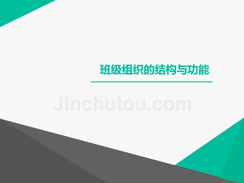 班级组织的结构与功能概要_第1页