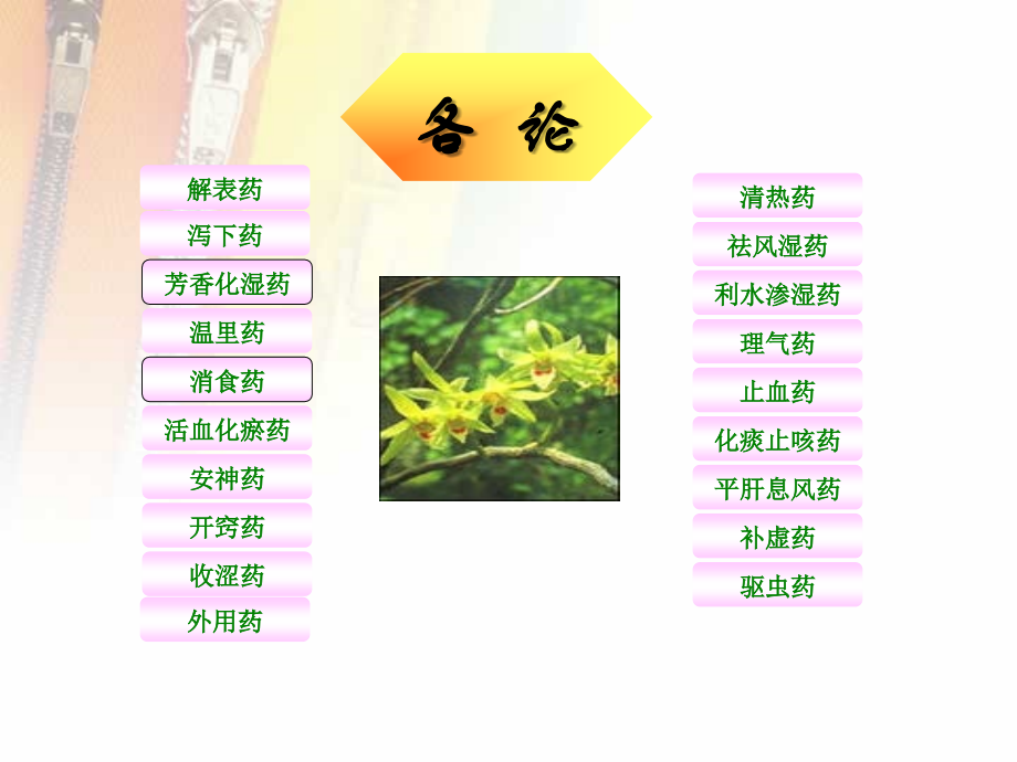 项目二解表药、清热药药理实验技术讲义_第1页