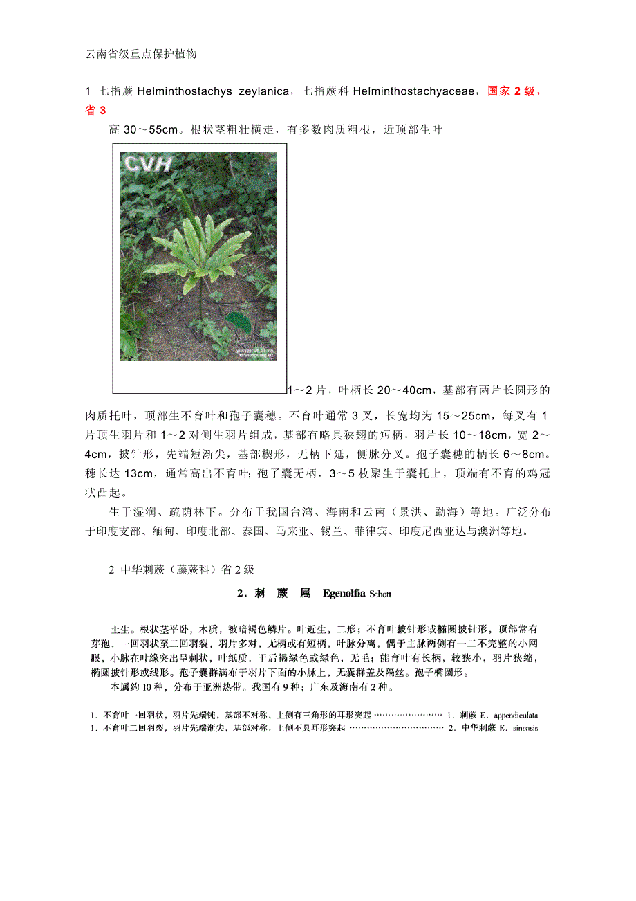 保护植物 云南省级重点保护植物_第1页