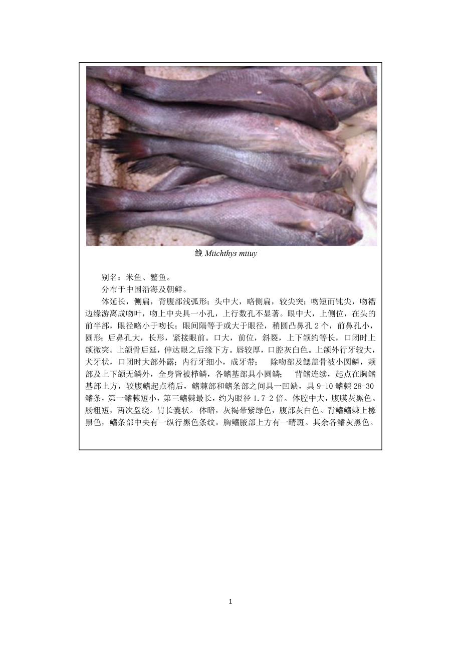 海洋生物学作业_第1页