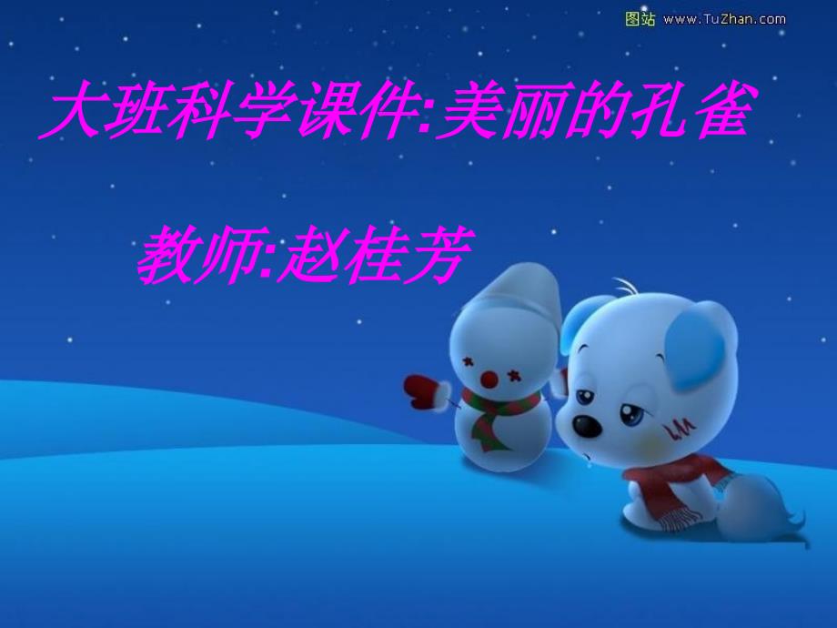美丽的孔雀概要_第1页