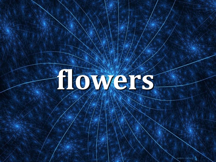花语.概要_第1页