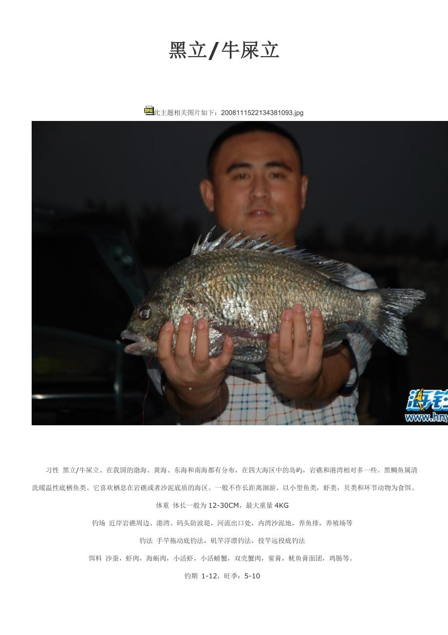 海钓常见鱼类图解_第1页