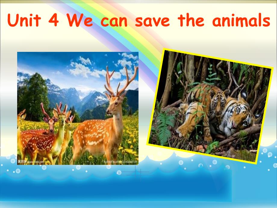 广州小学英语六年级unit4 wecansavetheanimals课件_第1页