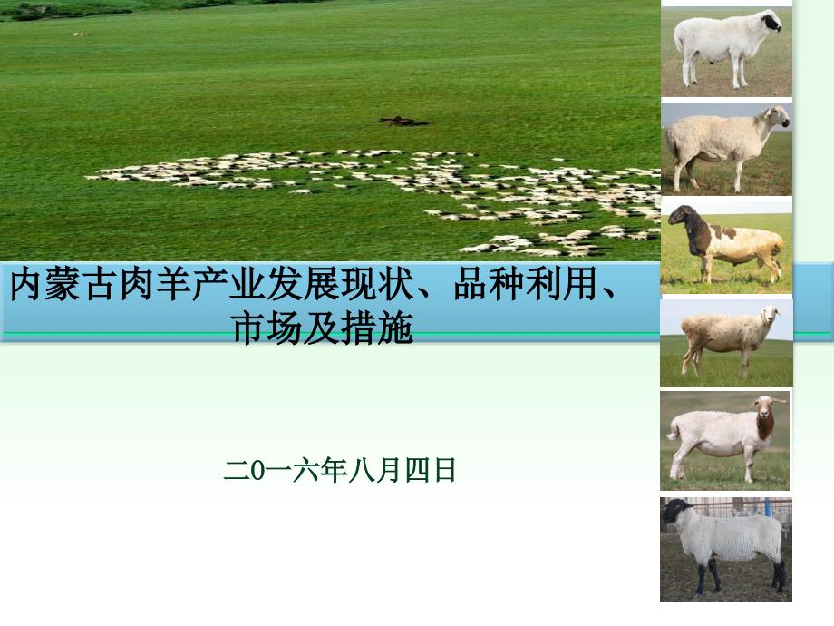 内蒙古肉羊产业发展现状、品种利用、市场与措施_第1页