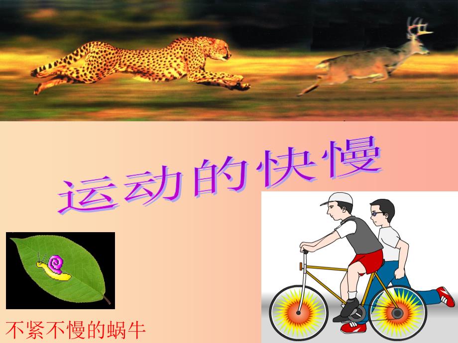 湖南省八年级物理上册 1.3运动的快慢课件新人教版_第1页