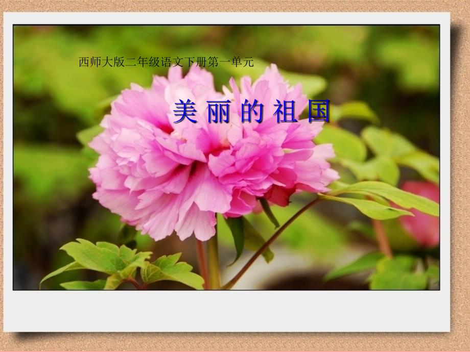 2019二年级语文下册 识字一《美丽的祖国》教学课件 西师大版_第1页