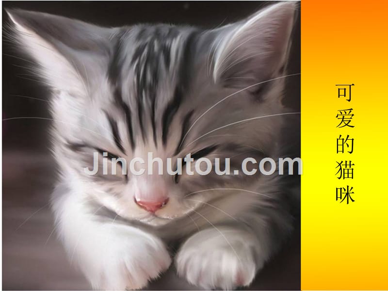 二年级下册美术课件-可爱的猫咪1浙美版_第1页