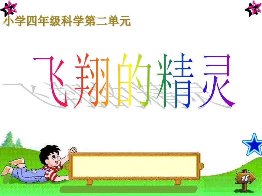 四年级上册科学课件2.4飞翔的精灵 湘科版(一起)_第1页