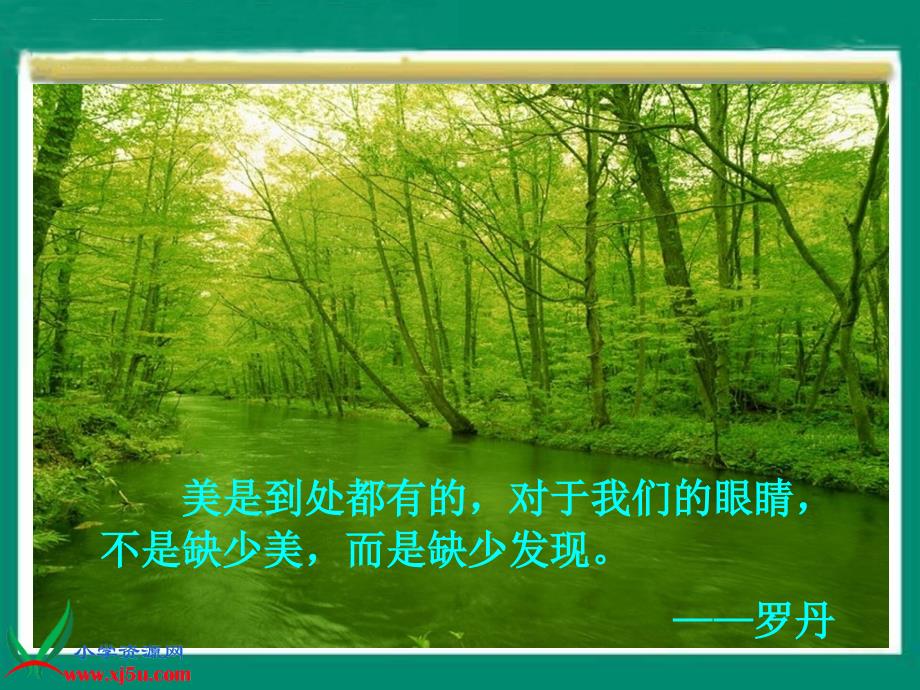 北师大版三年级语文上册《一只小鸟》课件.ppt_第1页