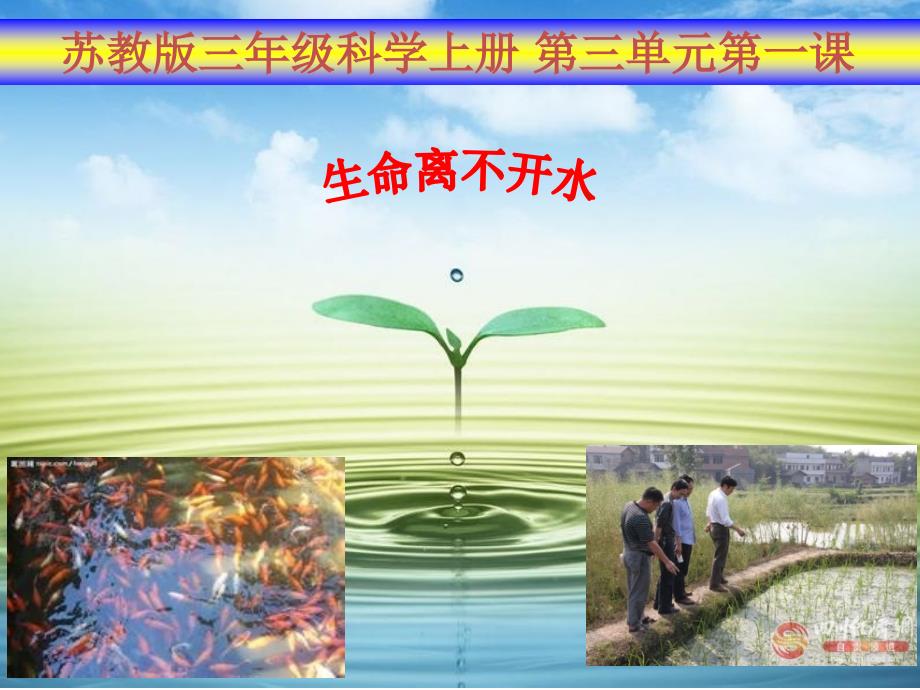 生命离不开水.ppt_第1页