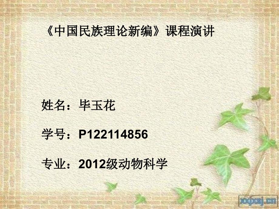 彝族文化介绍资料_第1页