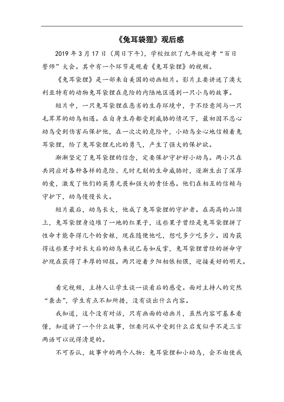 《兔耳袋狸》观后感800字_第1页