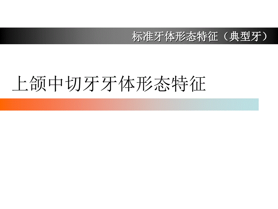 上颌中切牙形态特征简述资料_第1页
