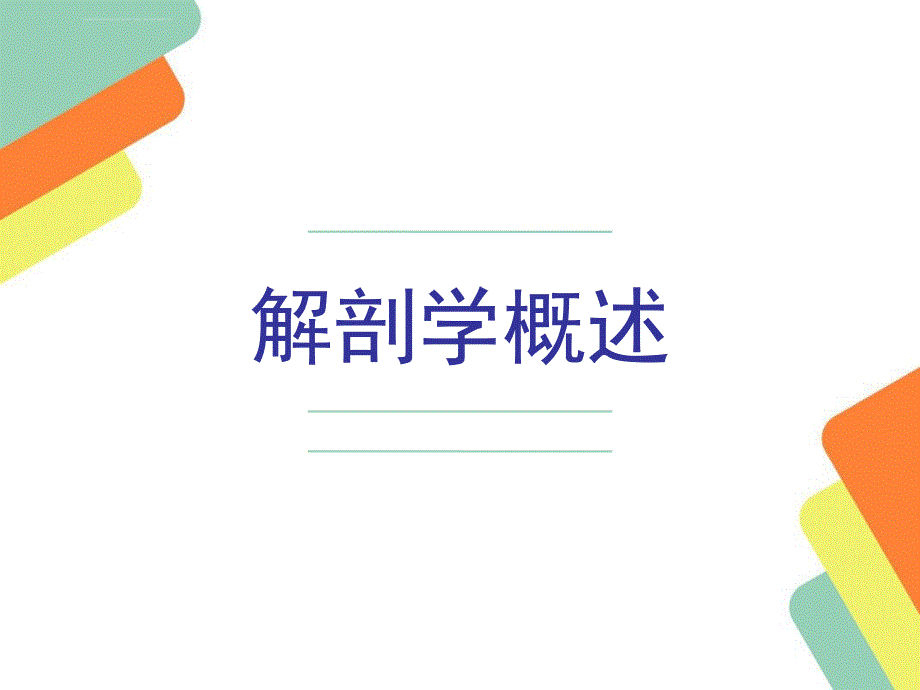 大体解剖概述.ppt_第1页