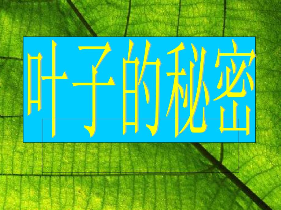 叶子的密秘_第1页