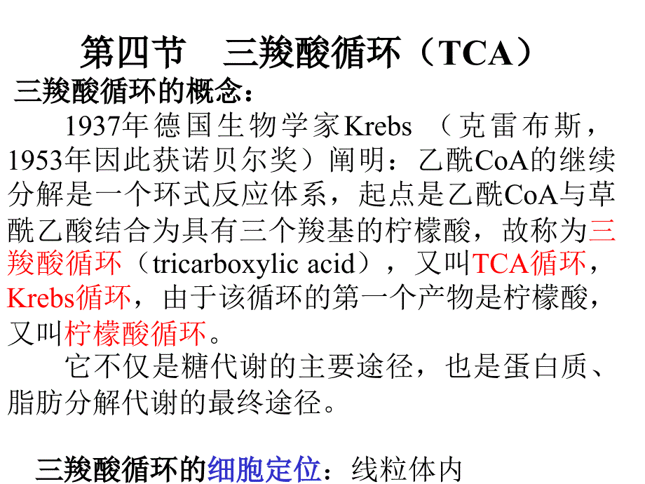 三羧酸循环tca资料_第1页
