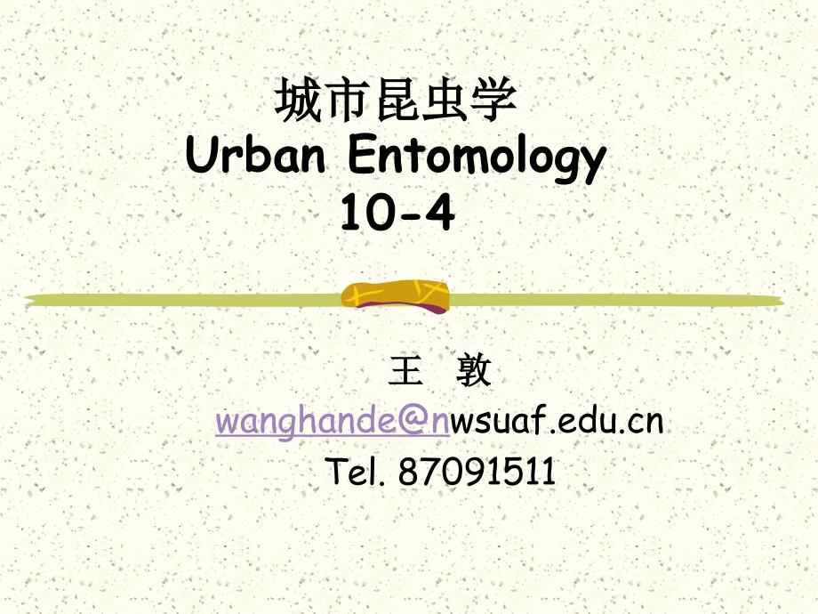 城市昆虫学-4概要_第1页