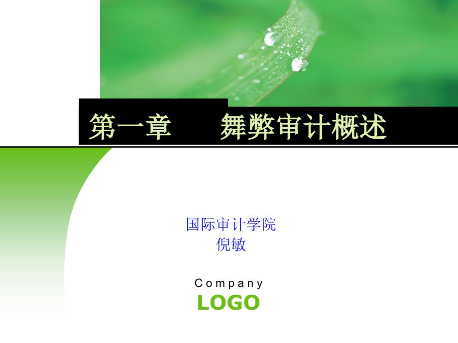 舞弊审计第一章_第1页