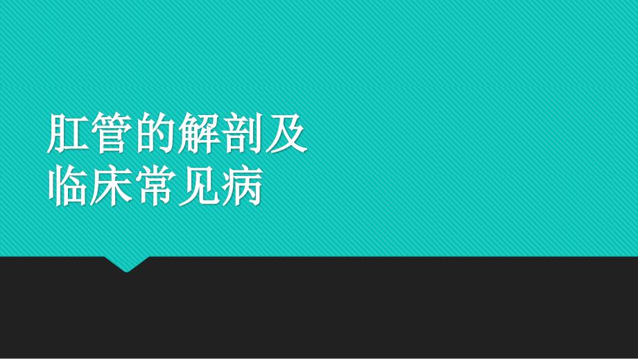 肛管解剖及常见病资料_第1页
