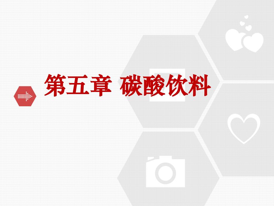 第五章碳酸饮料介绍资料_第1页